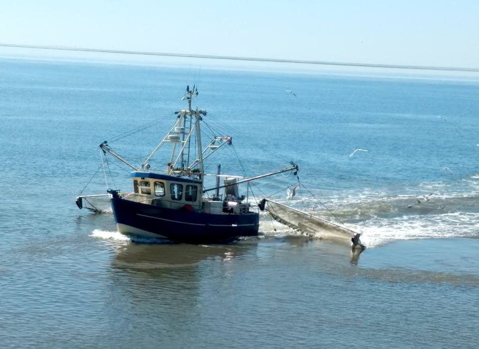 Krabbenfischer Nordsee