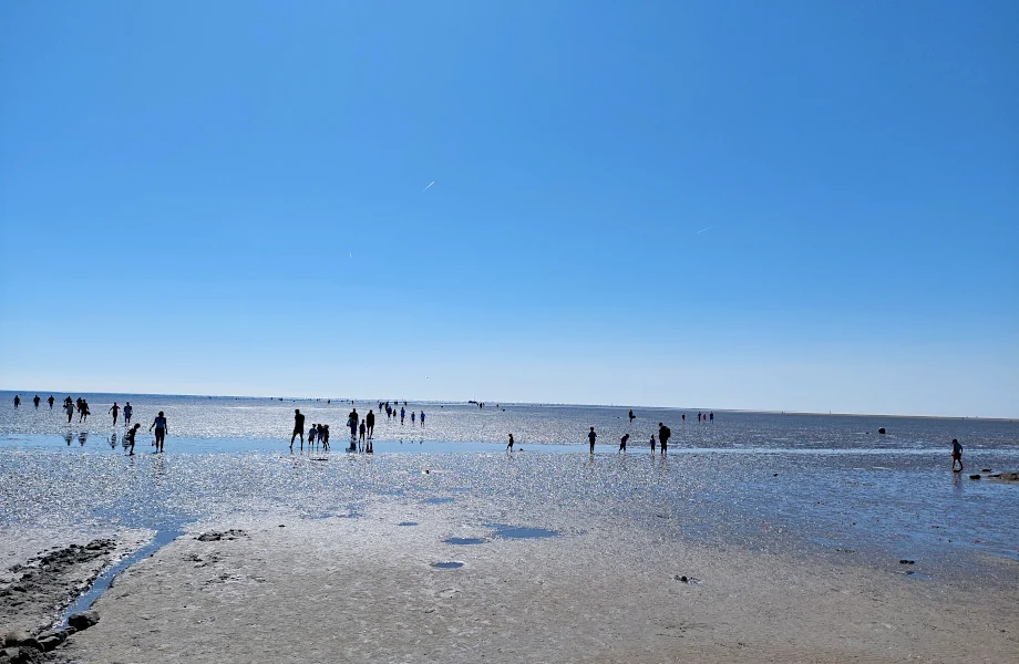 Watt in Büsum